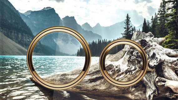 Geberit Sigma 50 izpildmehānisma plāksne, apaļa, pielāgotā dizainā Geberit Sigma 50 izpildmehānisma plāksne, apaļa, pielāgotā dizainā