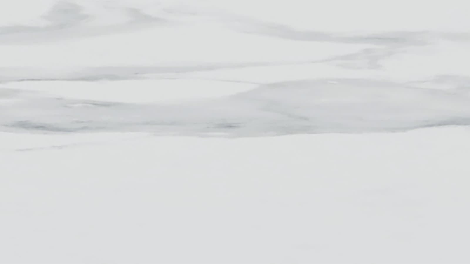 Krāsa: baltā marmora efekta porcelāna keramika Krāsa: baltā marmora efekta porcelāna keramika